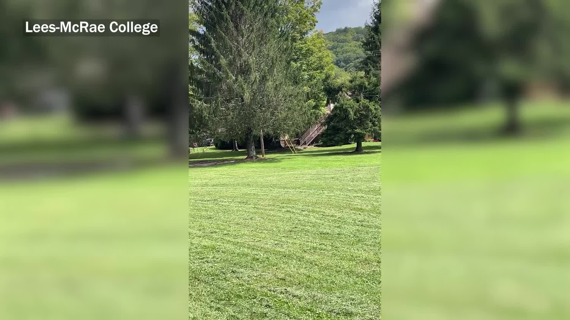 VIDEO LeesMcRae releases rehabilitated redtailed hawk WJHL Tri