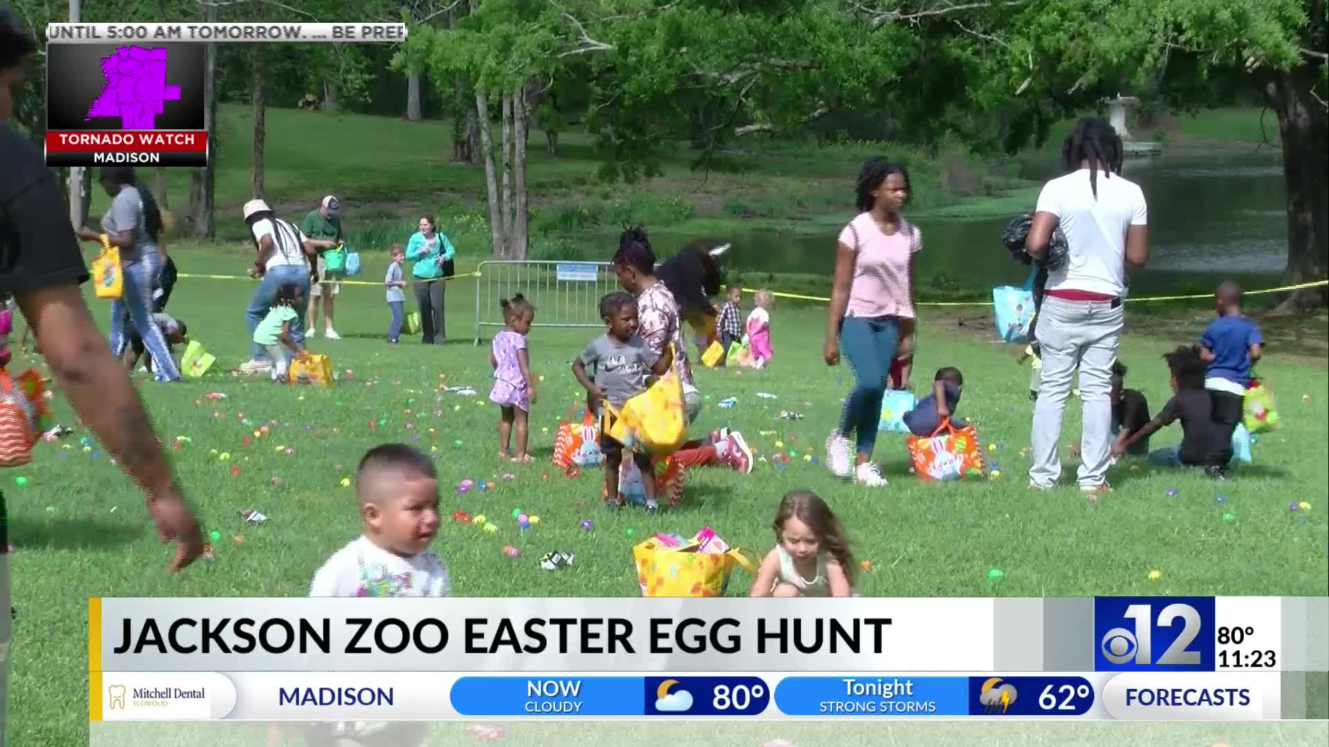 Jackson Zoo holds 2025 Easter egg hunt – WJTV