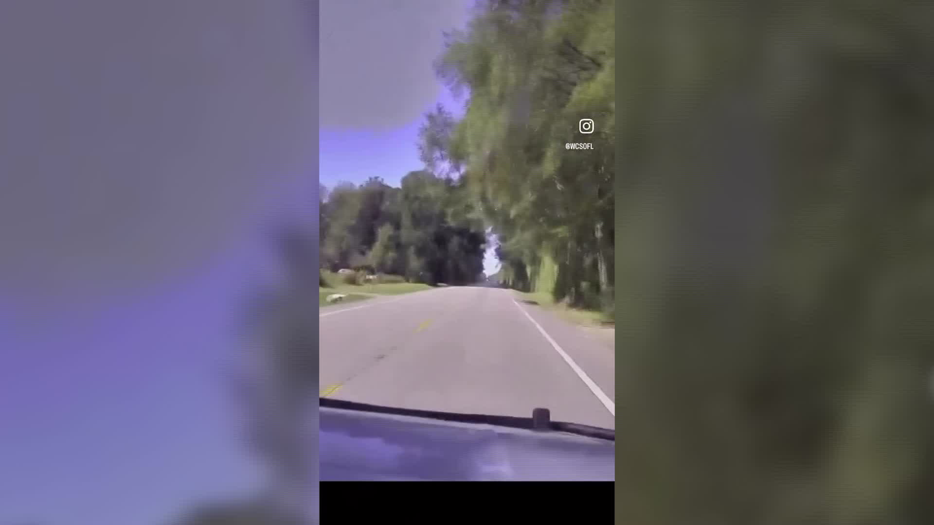 WATCH: Walton County deputies arrest man after chase involving stolen ...