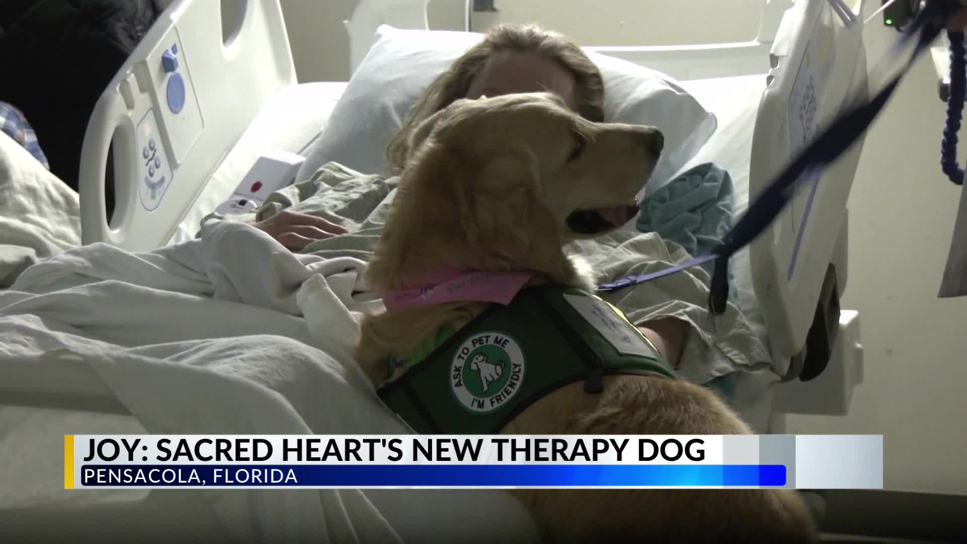 Pensacola Sacred Heart welcomes newest therapy dog, Joy – WKRG News 5