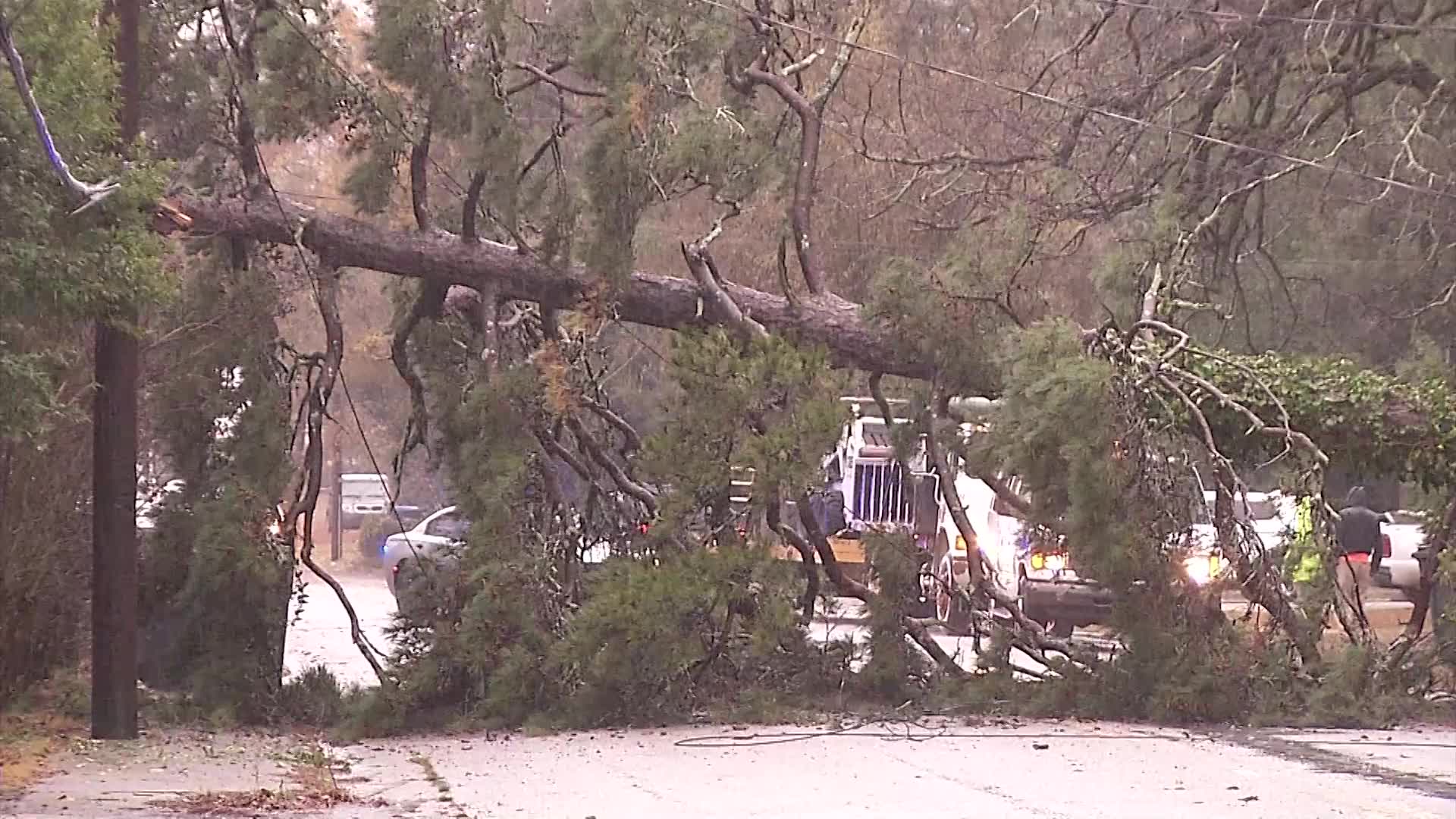 Severe weather, tree falls on Kissingbower road in Augusta – WJBF