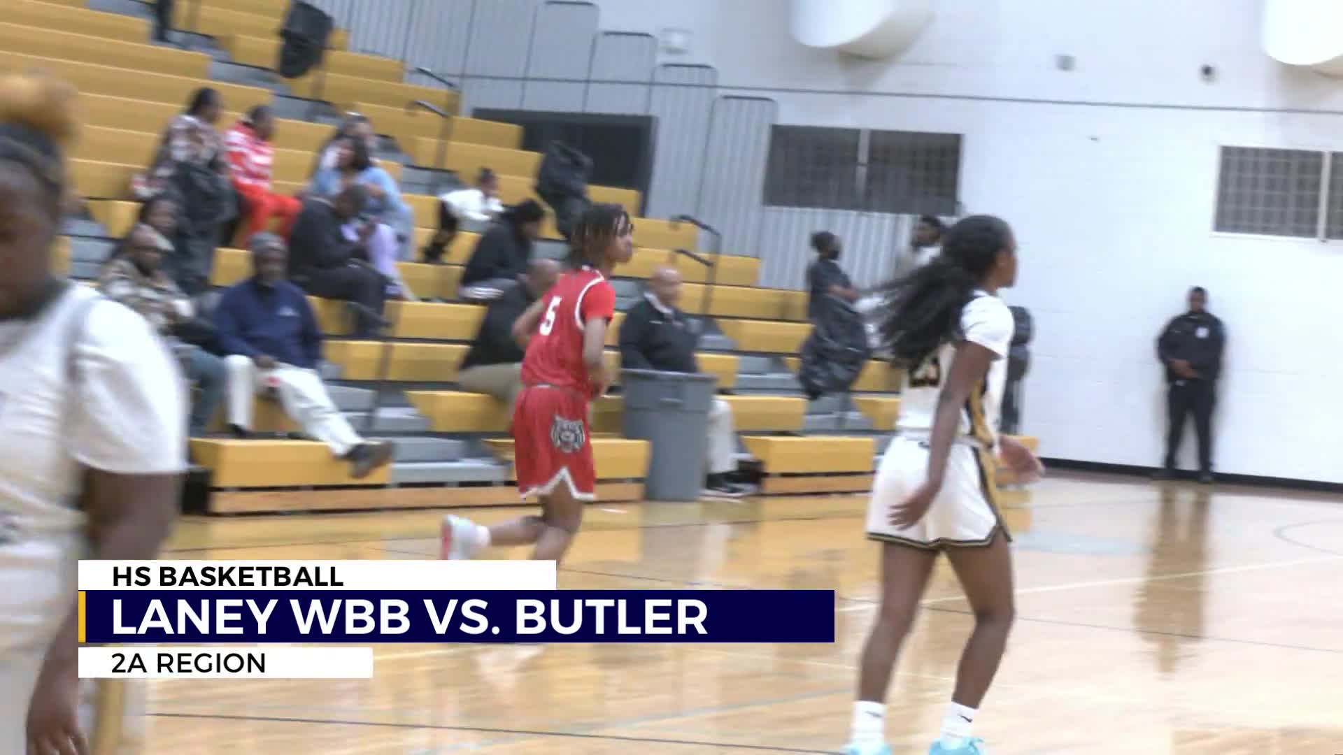 Laney girls basketball head coach achieves historic milestone – WJBF