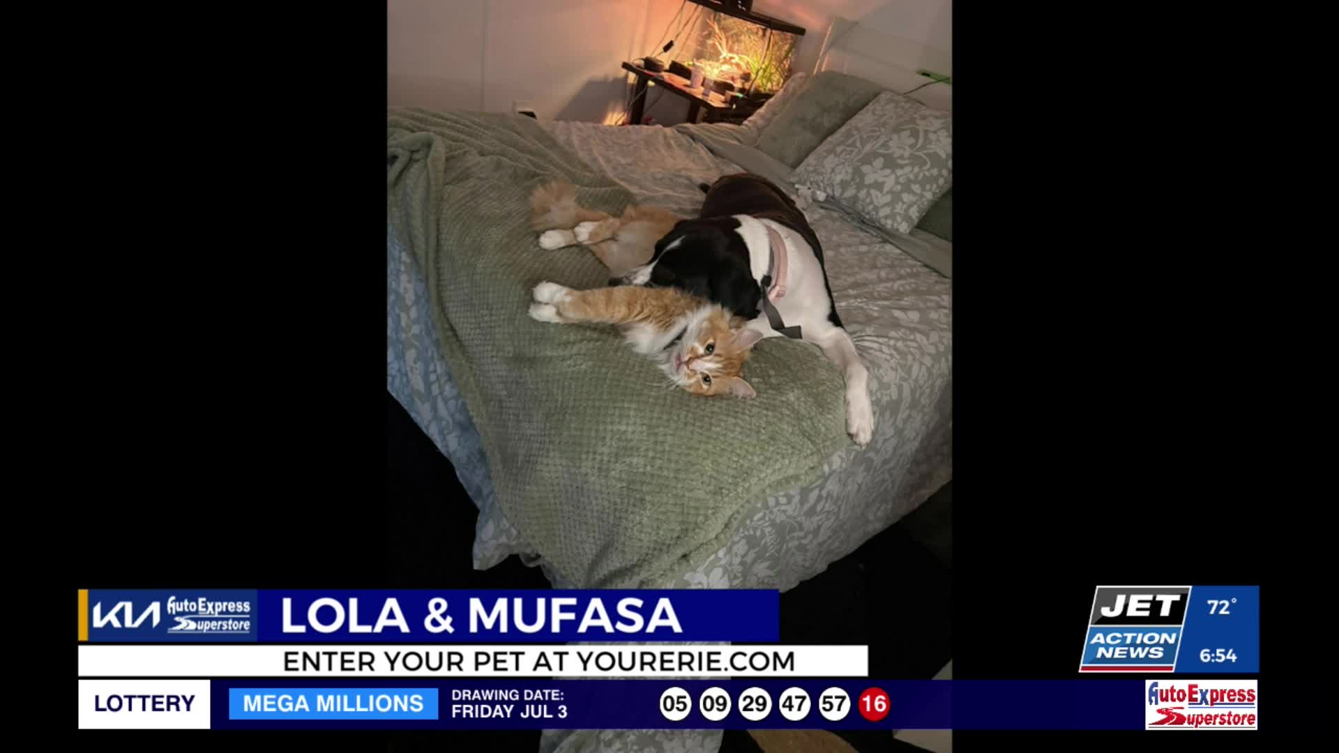 Cutest Pets: Lola & Mufasa