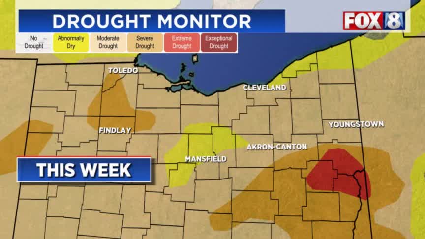 Rain, rain! What’s in the forecast for week ahead – Fox 8 Cleveland WJW