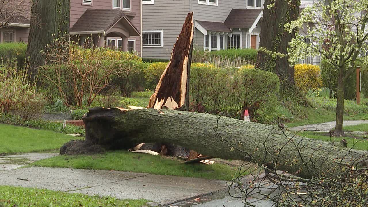 Strong winds take down trees, cause damage in NE Ohio – Fox 8 Cleveland WJW