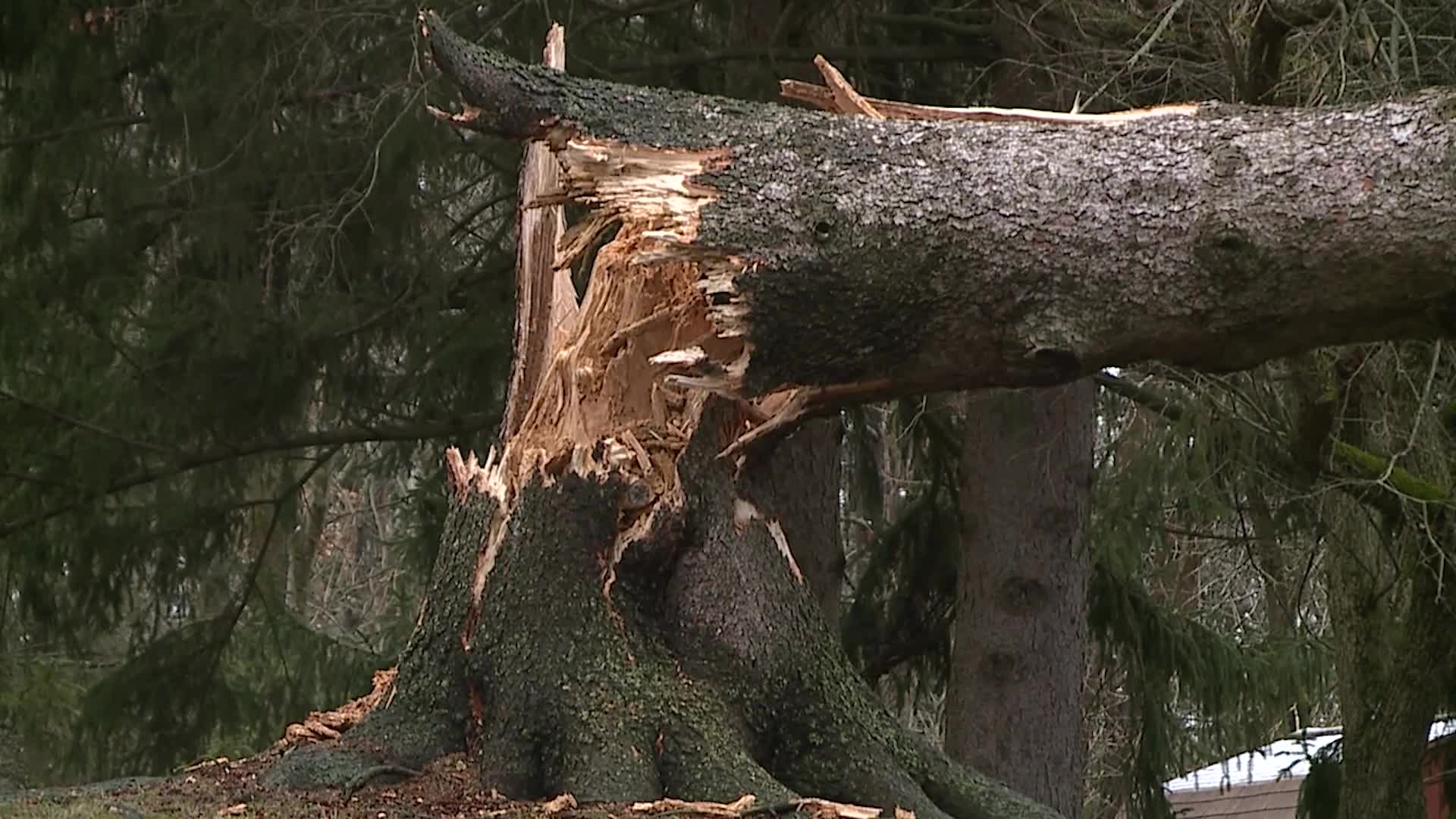 Crews responding to strong wind damage, power outages across NE Ohio ...