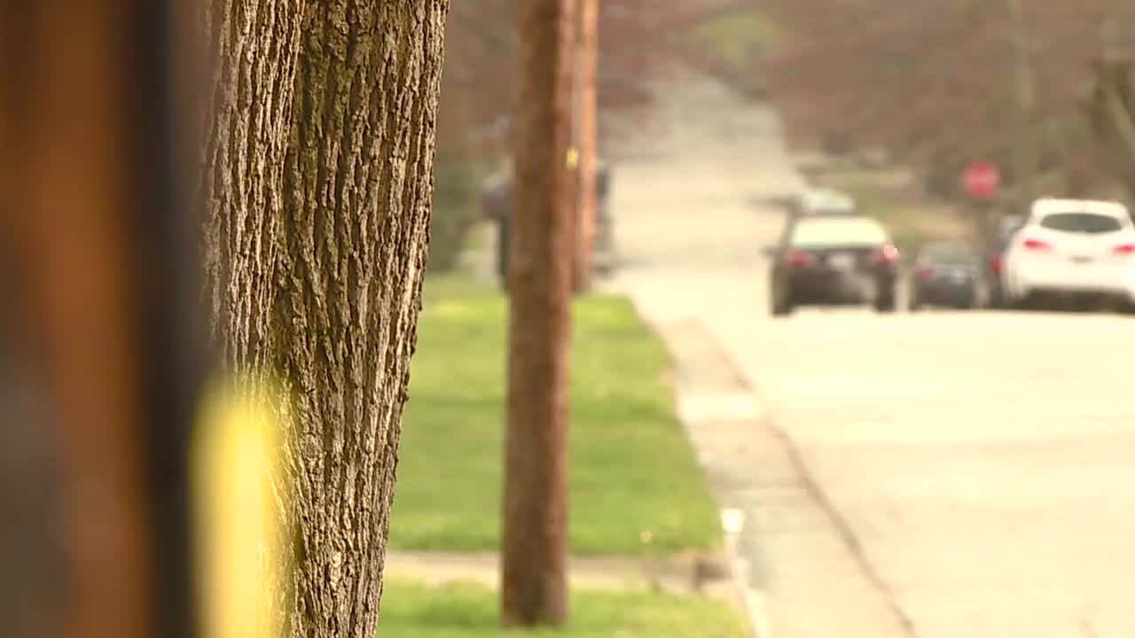 Woman caught in crossfire of Akron gunfight dies – Fox 8 Cleveland WJW