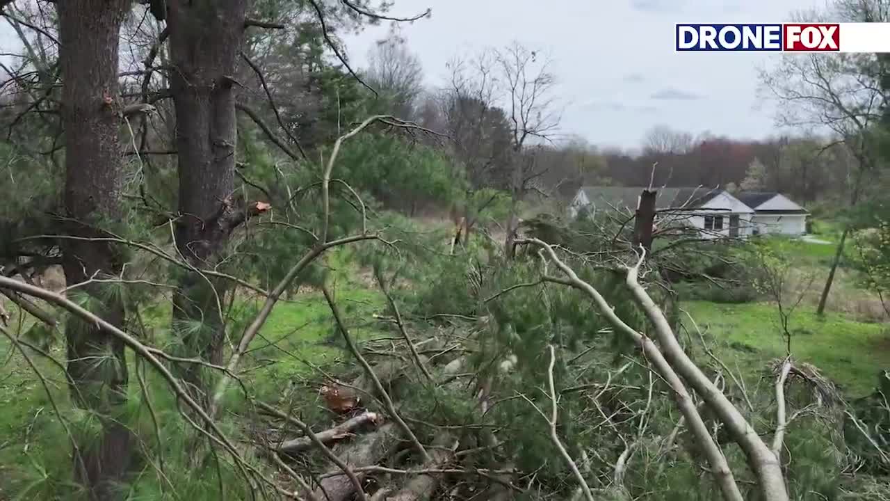 ‘Enormous winds’ toppled massive trees around Boston Heights home – Fox ...