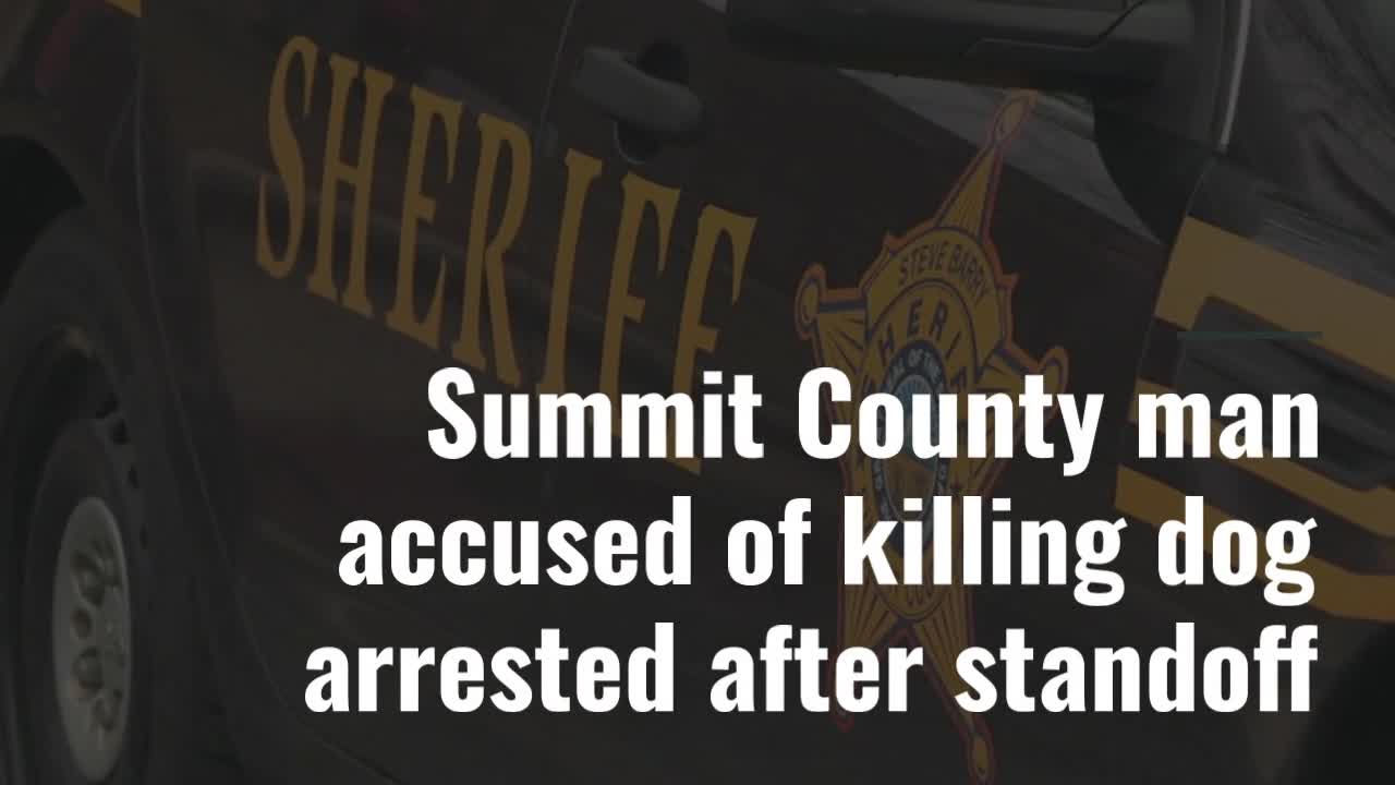 Summit County man accused of killing dog arrested after standoff – Fox ...