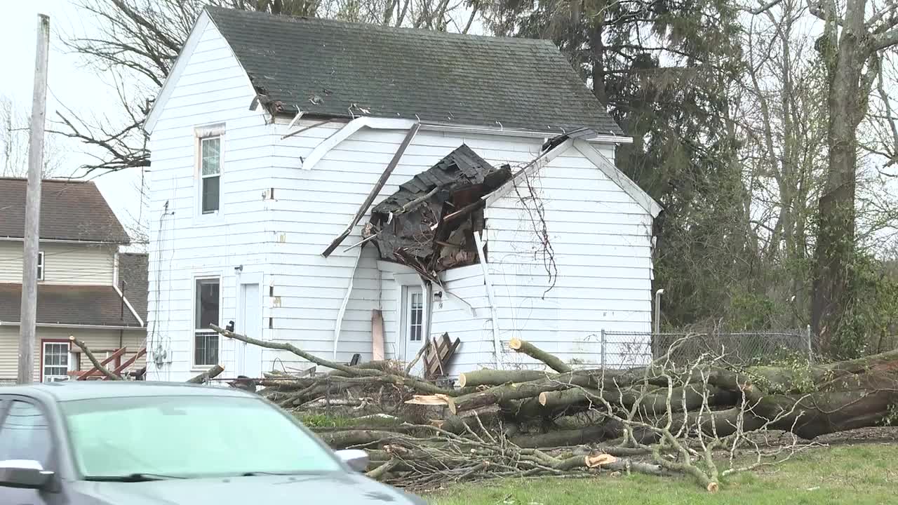 Tree falls on Barberton home, killing 1 person – Fox 8 Cleveland WJW