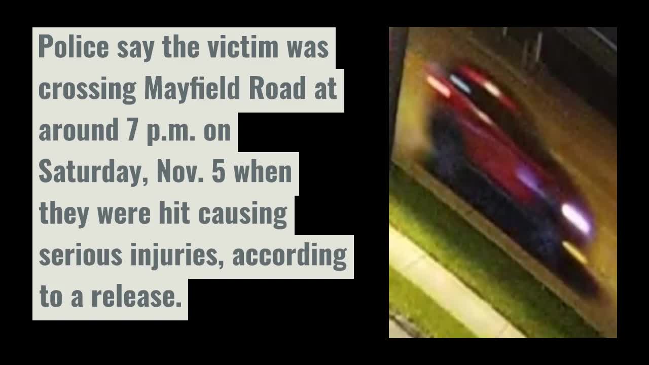 Lyndhurst hitandrun Driver wanted Fox 8 Cleveland WJW