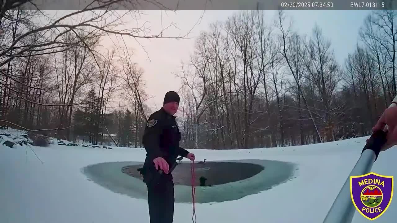 WATCH: Medina officers rescue dog from icy pond – Fox 8 Cleveland WJW