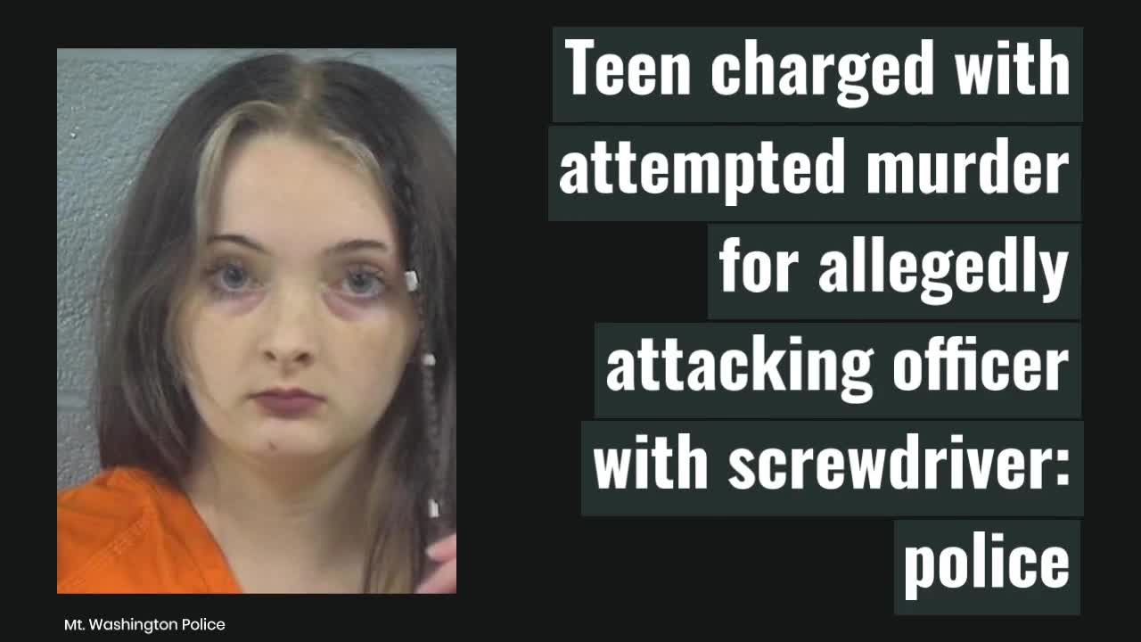 Teen charged with attempted murder for allegedly attacking officer with ...